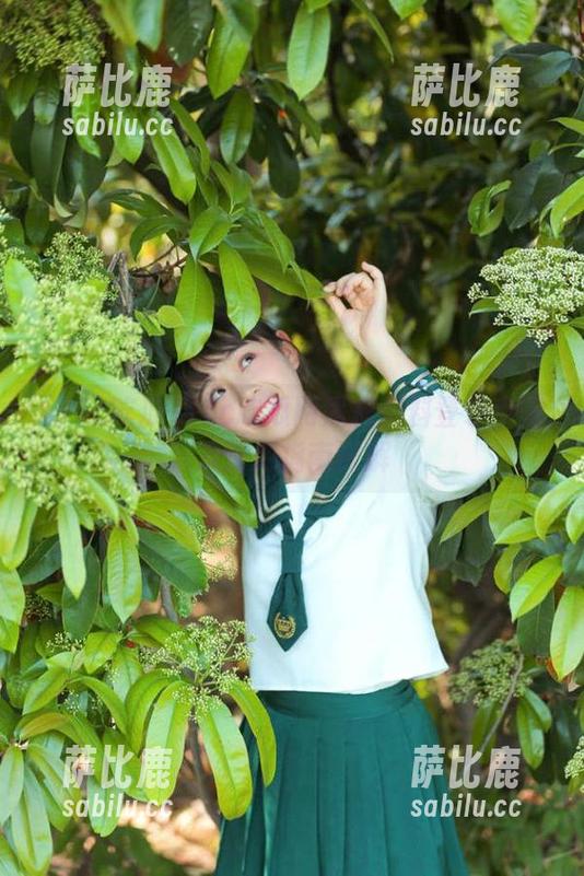 17c吃瓜网黑料爆料登录步骤及使用指南详解
