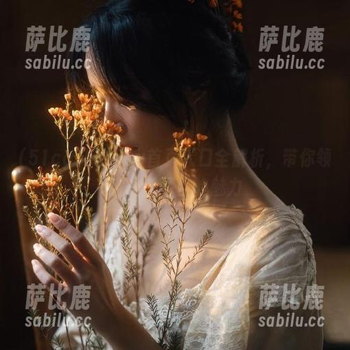 51cgw首页入口全解析，带你领略吃瓜平台的魅力