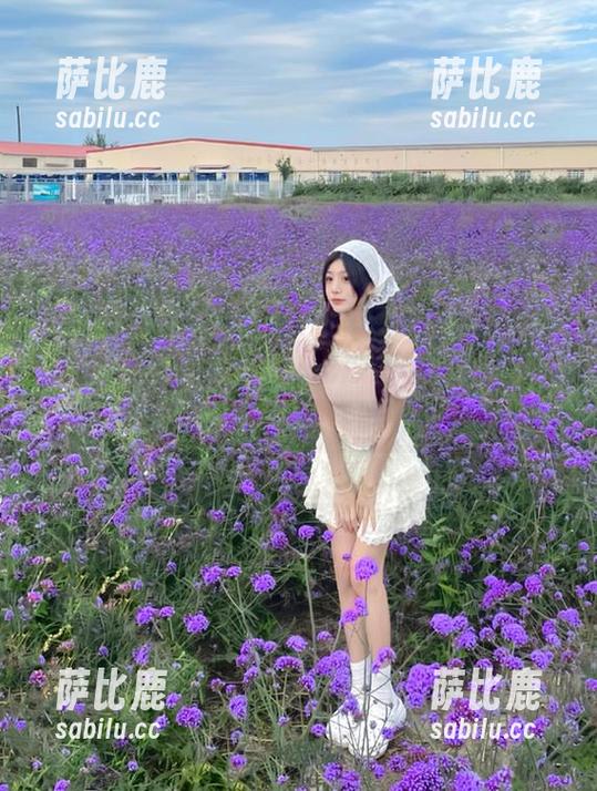 如何下载51吃瓜爆料视频？最全操作步骤详解