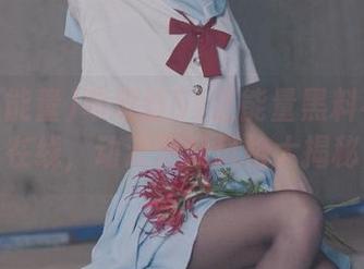 苹果版51正能量黑料不打烊在线，动漫游戏风格大揭秘