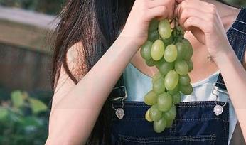 91吃瓜在线手机app登录方法详解ios专用