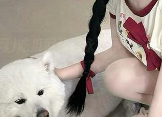 吃瓜网朝阳永久不休，网友们吐槽永远停不下来