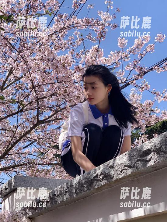 安卓用户速看，黑料不打烊热点事件链接合集