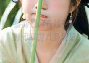 最新黑料在线安卓体验，第一时间掌握八卦消息