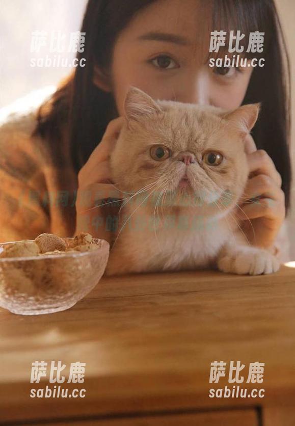 观看黑料网视频心得分享，女生眼中的八卦世界真精彩