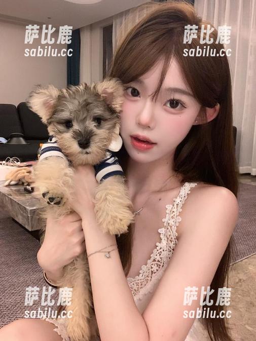 黑料网曝吃瓜导航推荐，网红八卦一网打尽