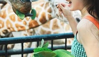 通过黑料视频网观看热门吃瓜事件全记录